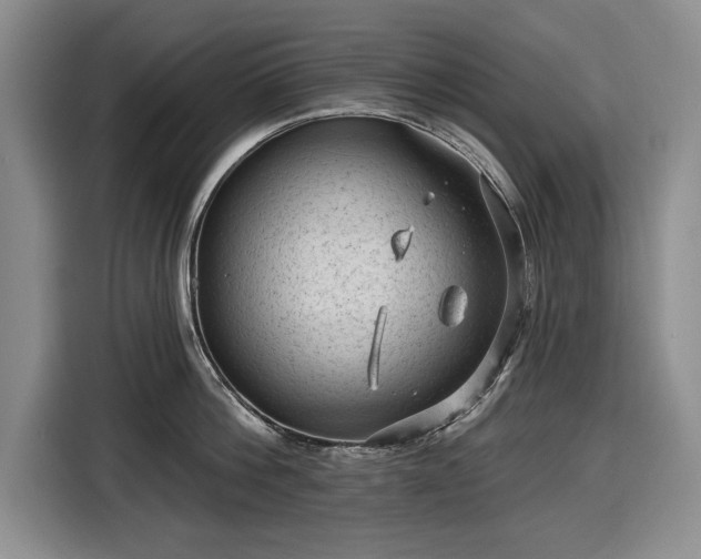 X0000116610812200912181205