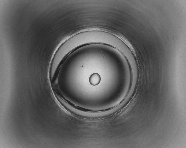 X0000116610813200912181205