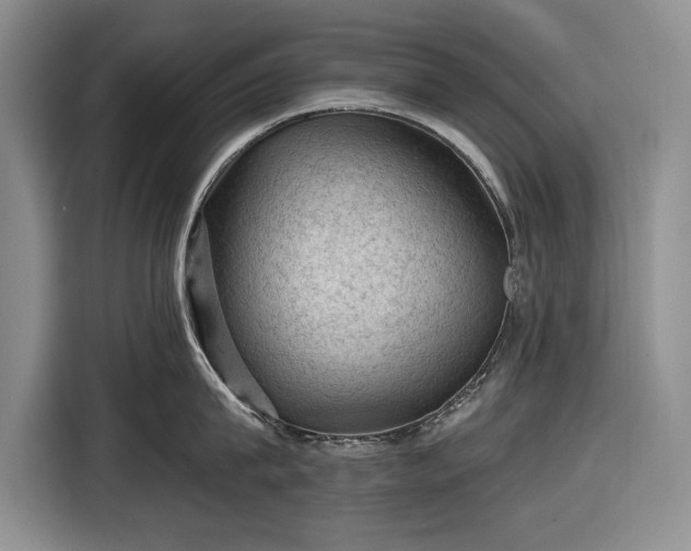 X0000116610815200912181205