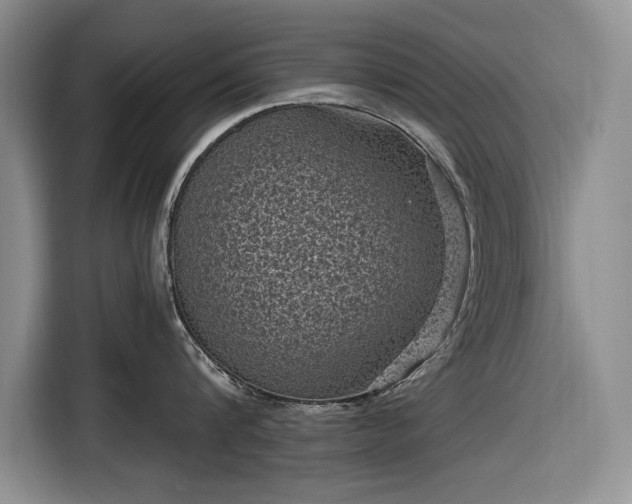 X0000116610816200912181205