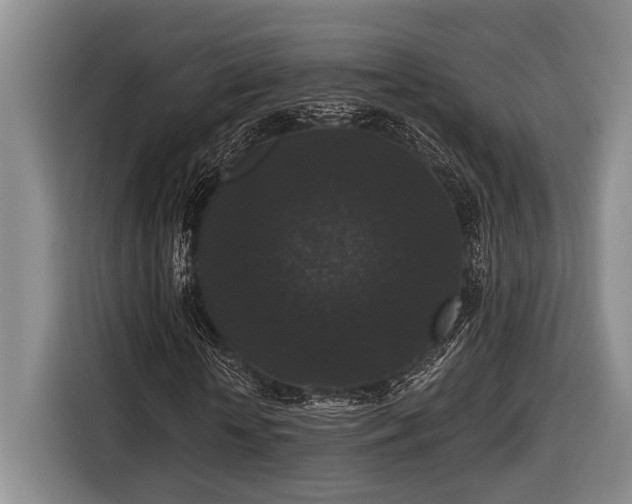 X0000116610818200912181204