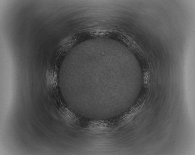 X0000116610820200912181204