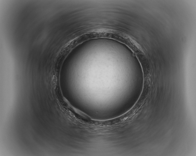 X0000116610821200912181204