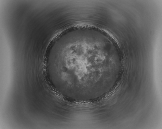 X0000116610823200912181204