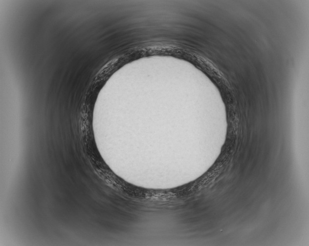 X0000116610824200912181204