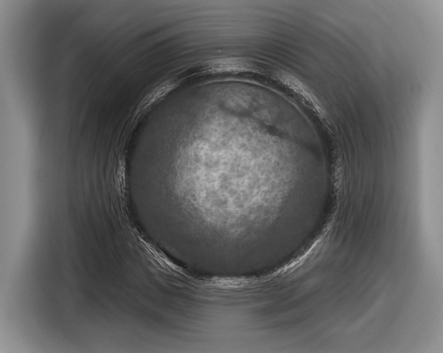 X0000116610825200912181204