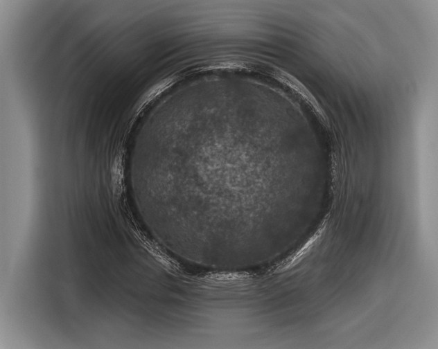 X0000116610826200912181204