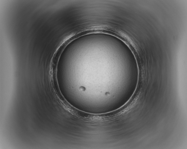 X0000116610827200912181204