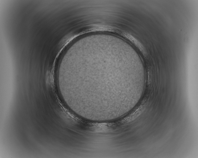 X0000116610828200912181204