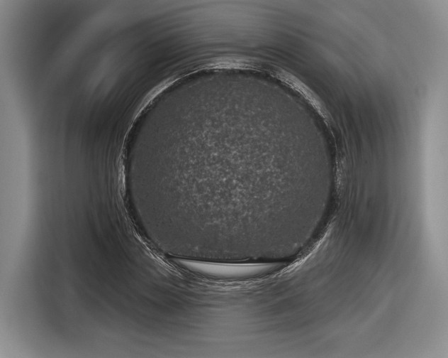 X0000116610829200912181204