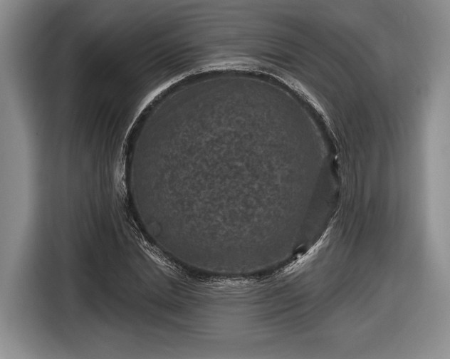 X0000116610830200912181204