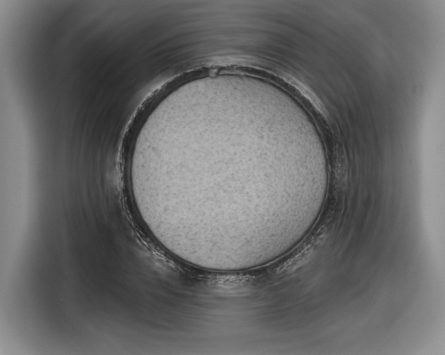 X0000116610832200912181204