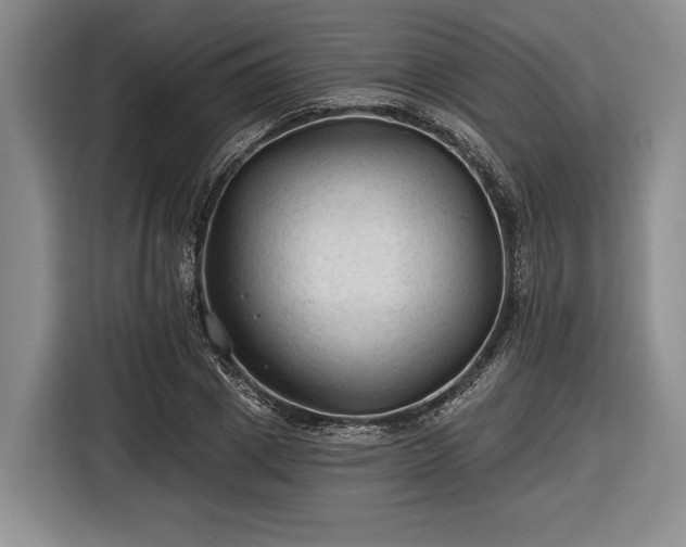 X0000116610833200912181204