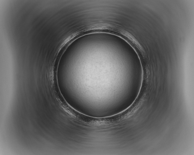 X0000116610834200912181204