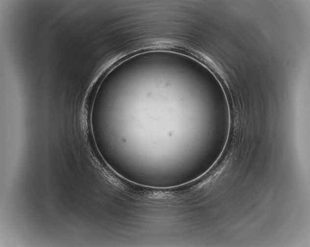 X0000116610835200912181204