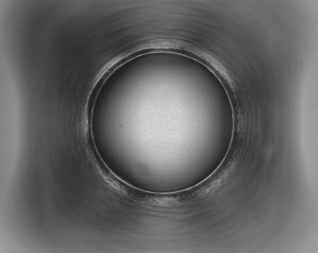 X0000116610837200912181204