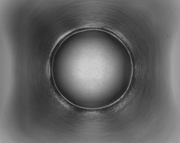 X0000116610838200912181204