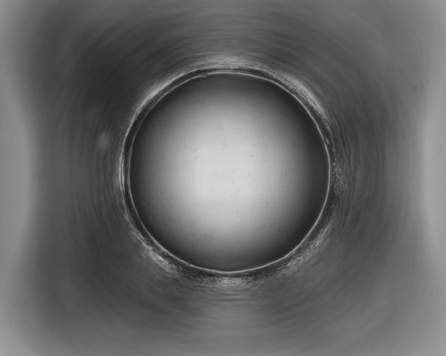 X0000116610839200912181204