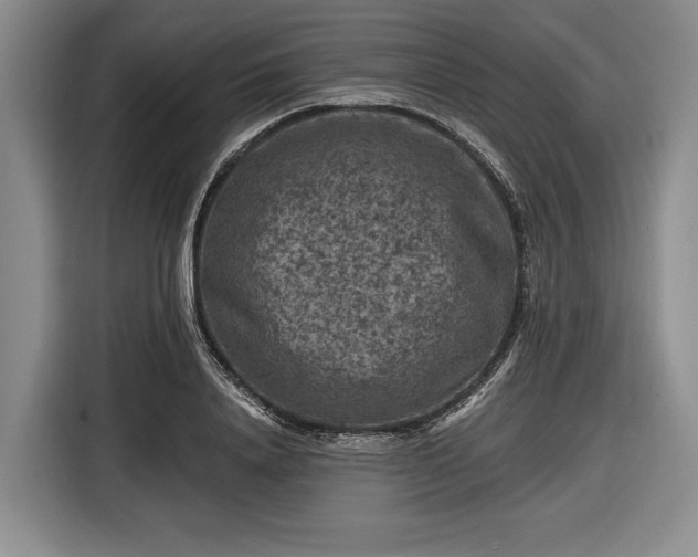 X0000116610840200912181204