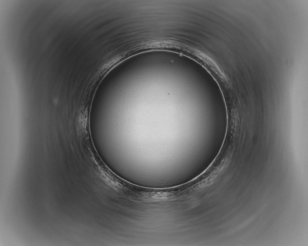 X0000116610841200912181205