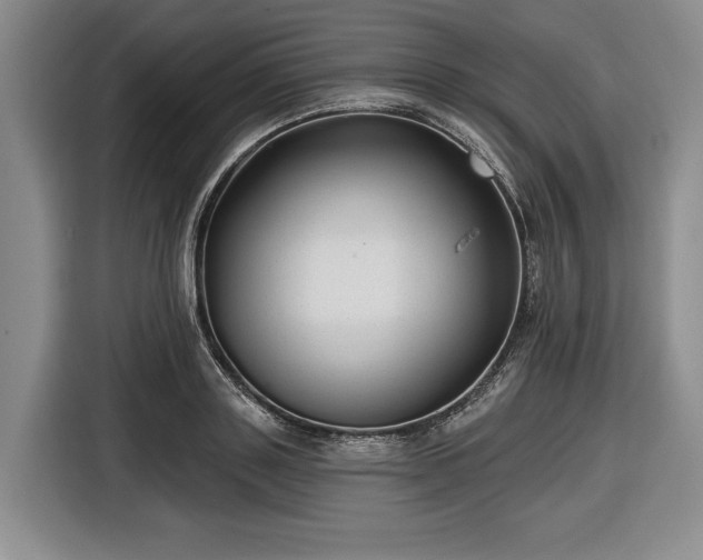 X0000116610843200912181205