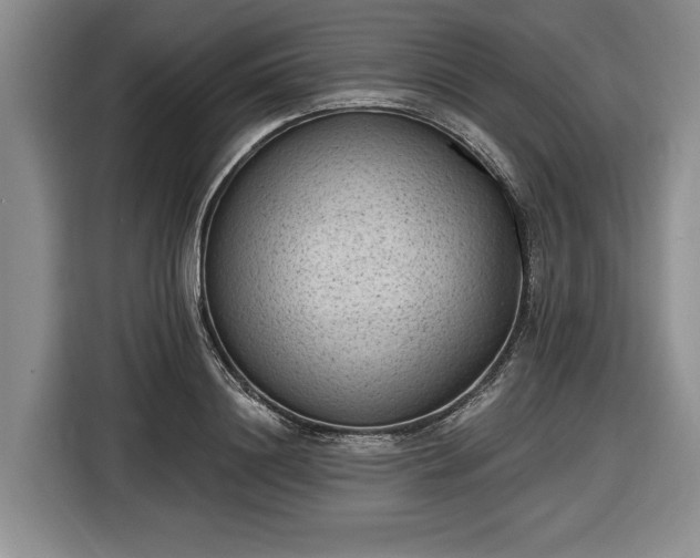 X0000116610844200912181205