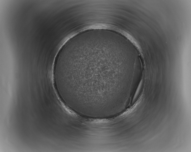 X0000116610845200912181205