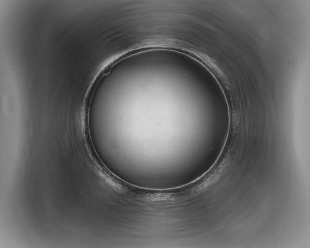 X0000116610846200912181205