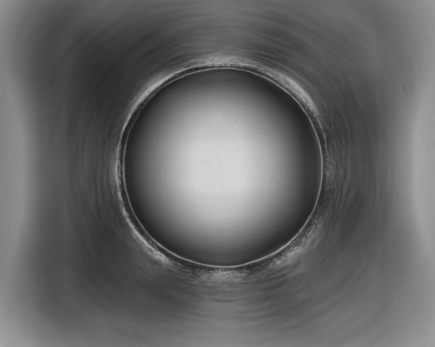 X0000116610847200912181205