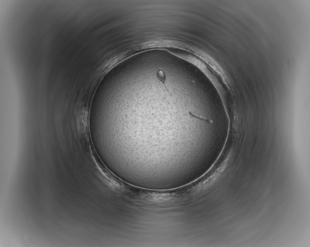 X0000116610849200912181205