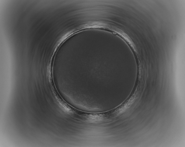 X0000116610850200912181205