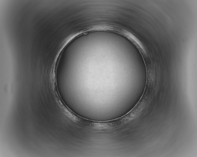 X0000116610852200912181205