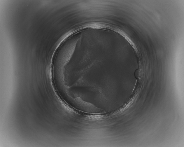 X0000116610853200912181205