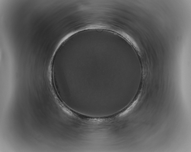 X0000116610854200912181205