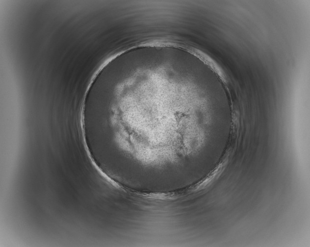 X0000116610855200912181205