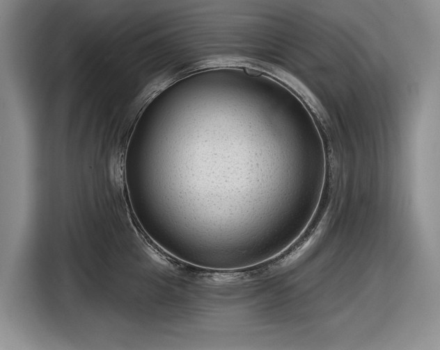 X0000116610857200912181205