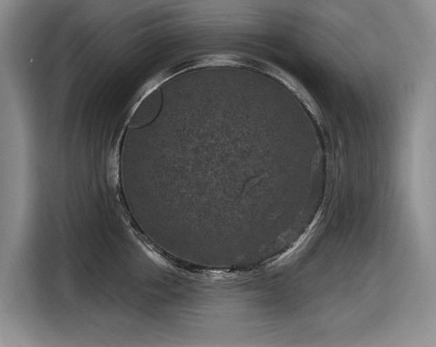 X0000116610858200912181205