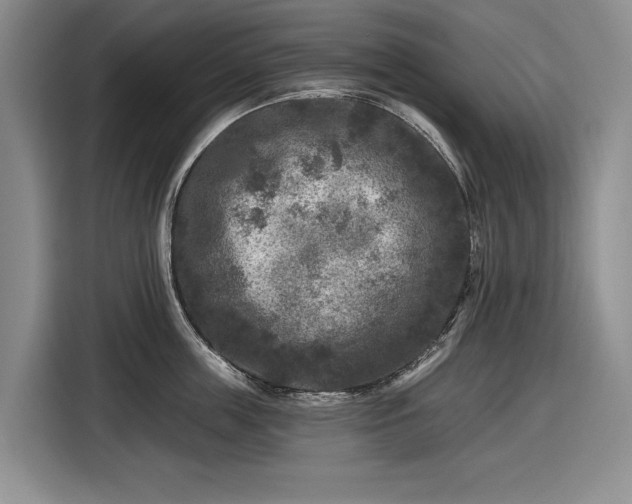 X0000116610859200912181205