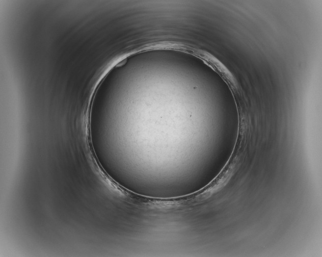 X0000116610860200912181205