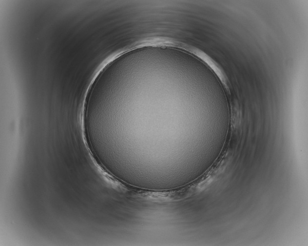 X0000116610861200912181205