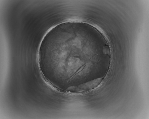 X0000116610864200912181205