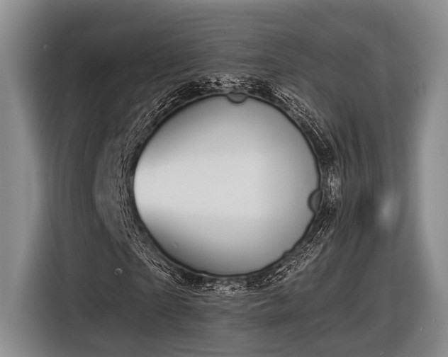 X0000116610865200912181204