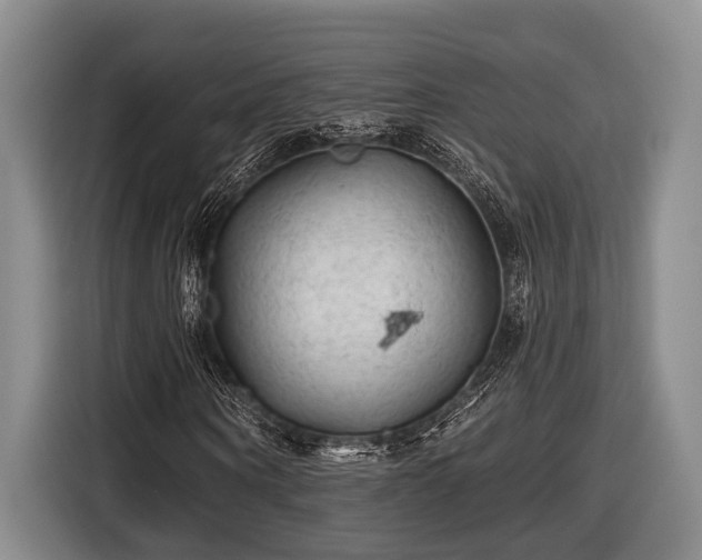 X0000116610866200912181204