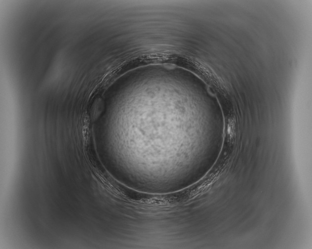 X0000116610867200912181204