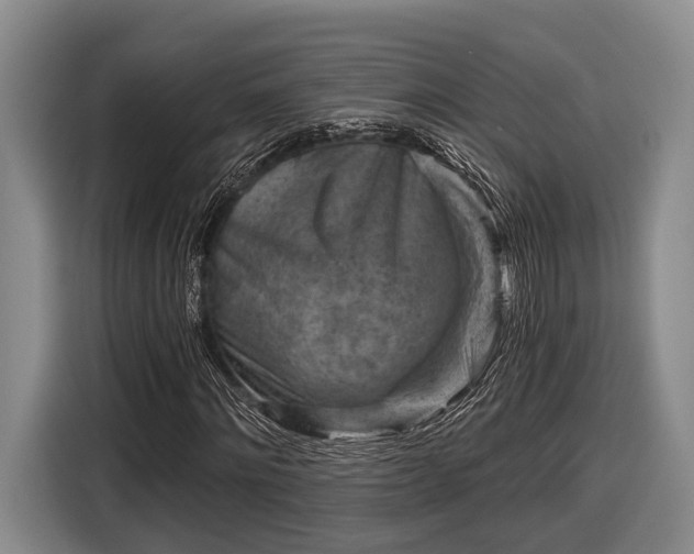 X0000116610868200912181204