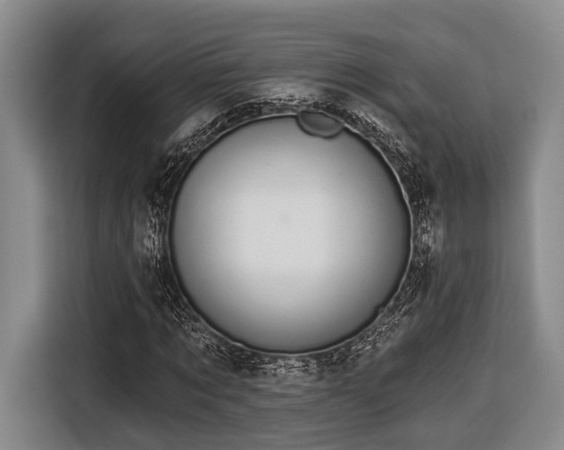 X0000116610869200912181204