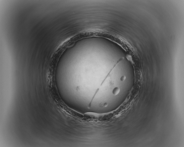 X0000116610872200912181204