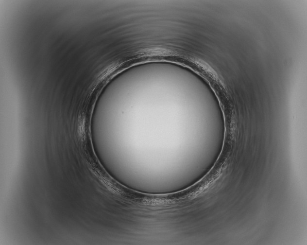 X0000116610873200912181204