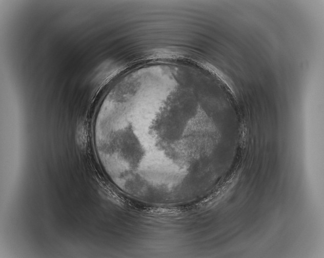 X0000116610874200912181204