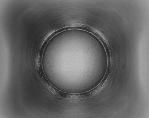 X0000116610875200912181204